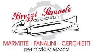 Logo brezzisamuele.com